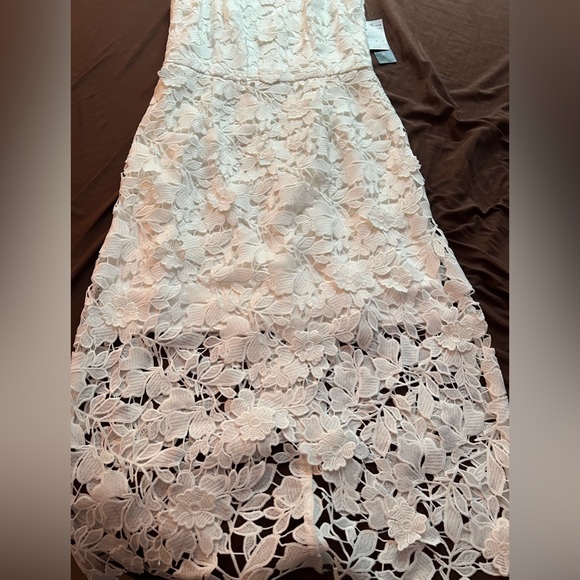 Virgin White Lace Appliqué Dress - Picture 13 of 16